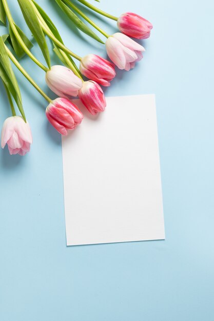 Tulipani rosa del mazzo e spazio in bianco vuoto per le acclamazioni sul blu. Festa della mamma.