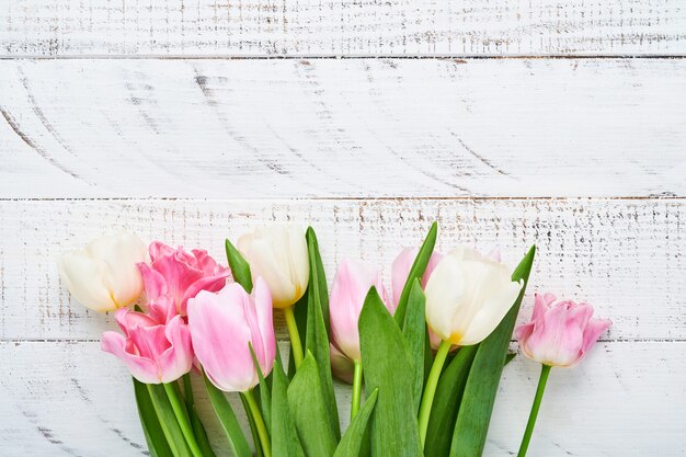 Tulipani rosa e bianchi su fondo di legno bianco.