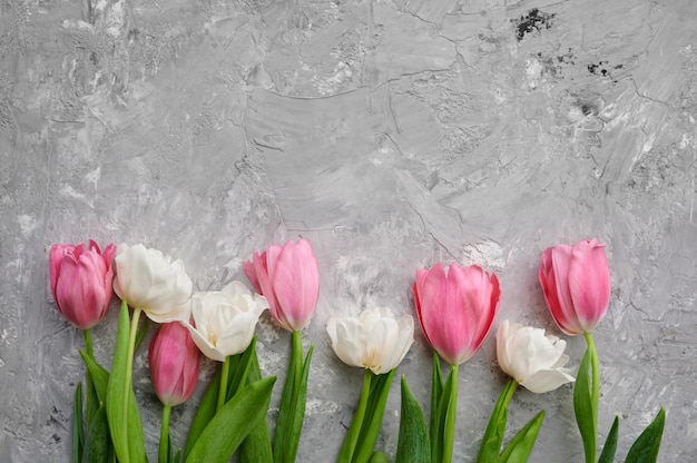 Tulipani rosa e bianchi su sfondo grigio cemento