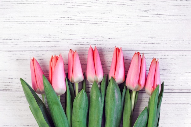Tulipani rosa primavera su uno sfondo di lavagne bianche. Posto per il testo.