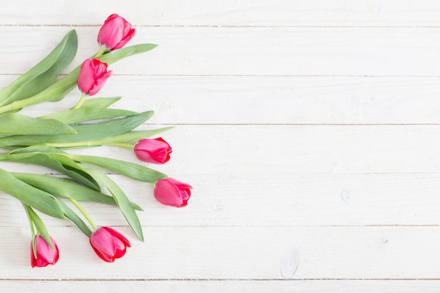 Tulipani rosa su fondo di legno bianco