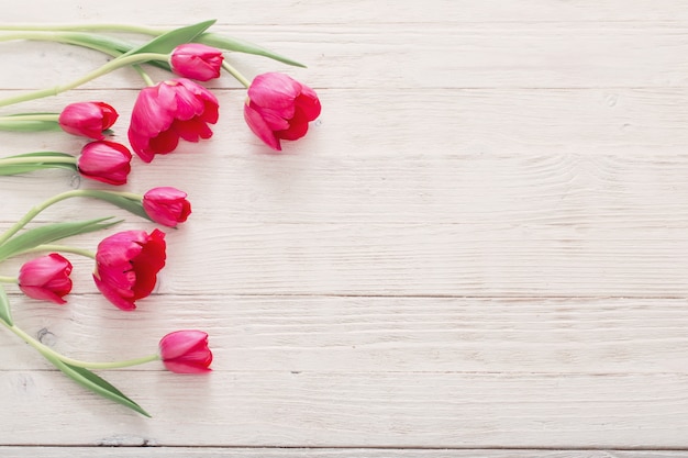 Tulipani rosa su fondo di legno bianco