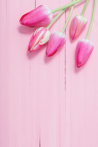 Tulipani rosa su fondo di legno rosa