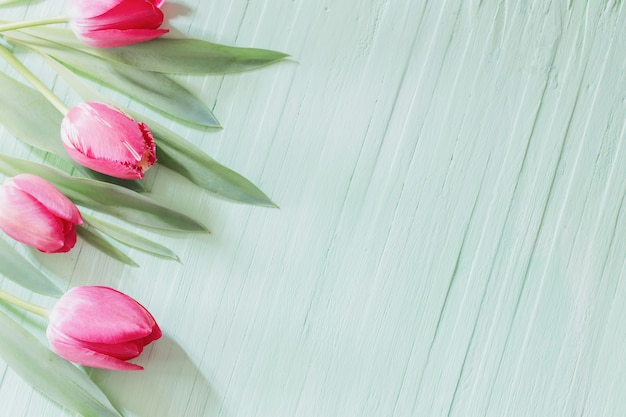 Tulipani rosa su fondo di legno verde