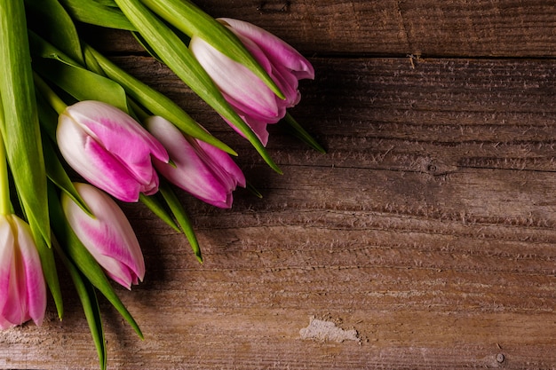 Tulipani rosa; su fondo in legno vecchio.