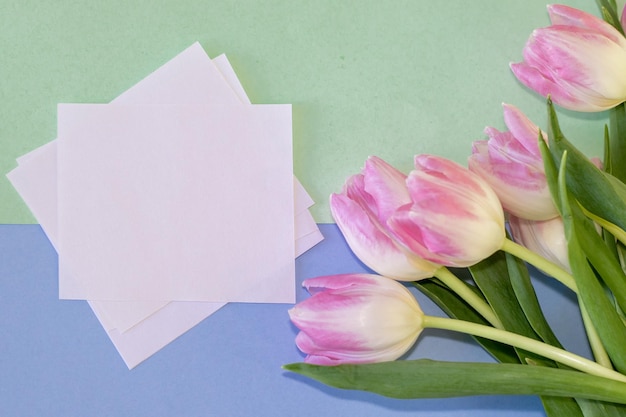 tulipani rosa su sfondo blu e verde tulipani e un mini cavalletto e carte quadrate bianche