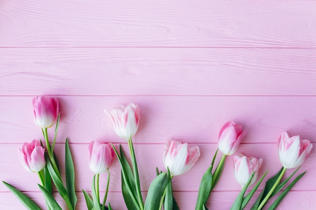 Tulipani rosa su un fondo di legno Vista superiore e disposizione piana.