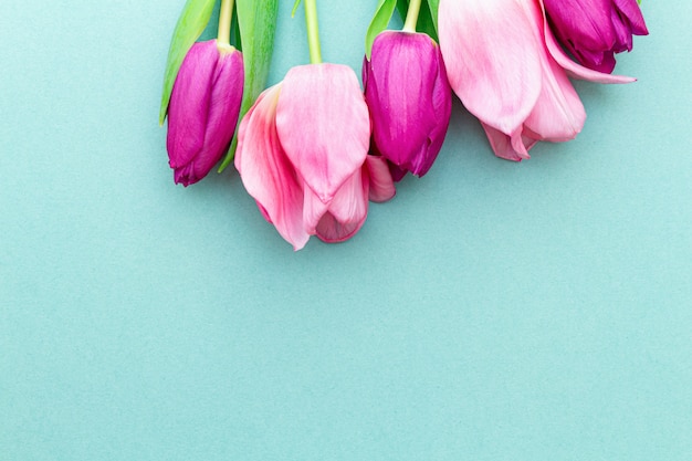 Tulipani rosa su uno sfondo verde primavera.