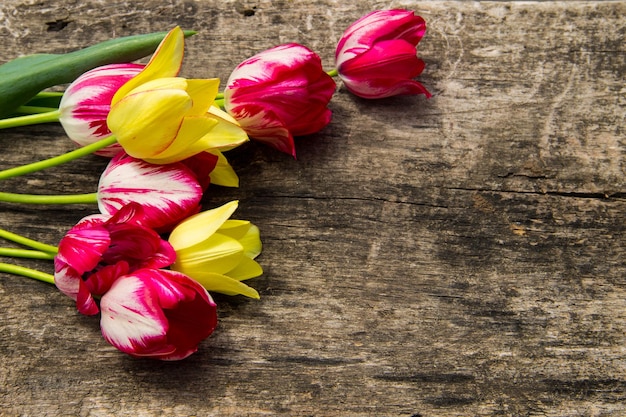 Tulipani rossi e gialli su fondo di legno rustico con lo spazio della copia