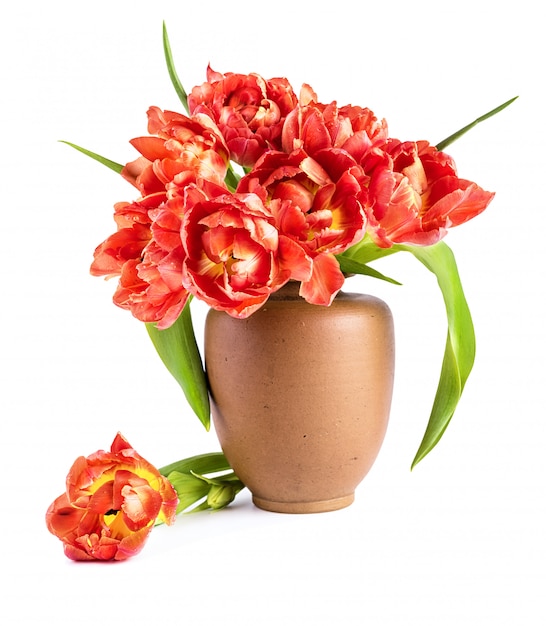 Tulipani rossi in vaso di argilla