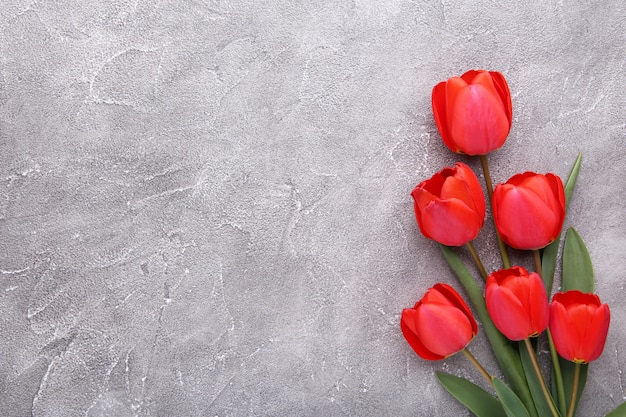 Tulipani rossi su un cemento grigio.
