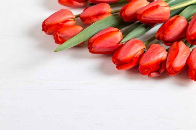 Tulipani rossi sulla tavola bianca, struttura, spazio in bianco del testo. Copia spazio.