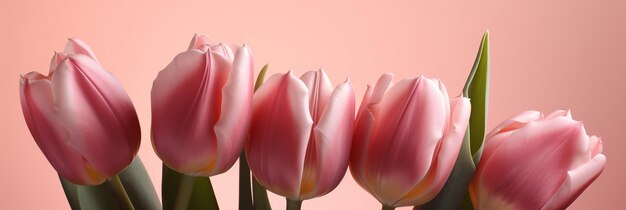 tulipani su sfondo rosa pastello