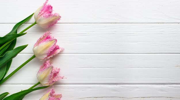 Tulipani su una tavola di legno bianca Cartolina con spazio di testo Cinque tulipani rosa