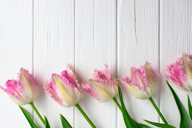 Tulipani su una tavola di legno bianca Cartolina con spazio di testo Cinque tulipani rosa