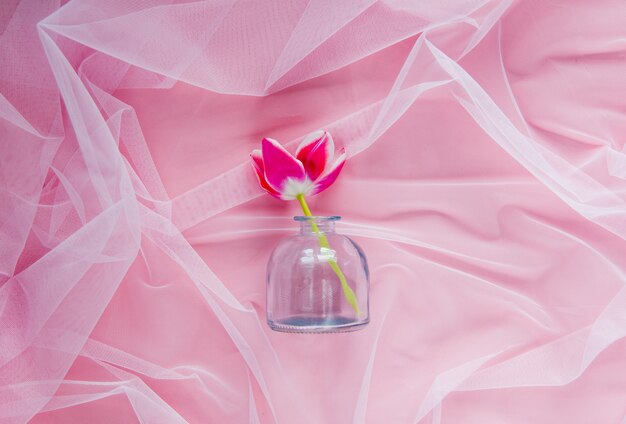 Tulipano e bottiglia di vetro su tulle rosa. luce naturale