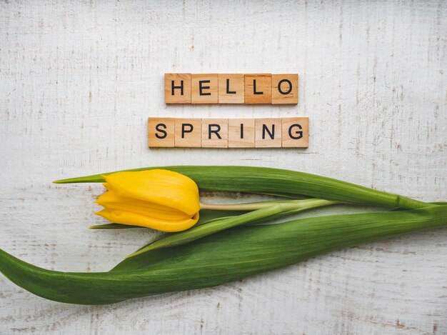 Tulipano giallo con la parola PRIMAVERA