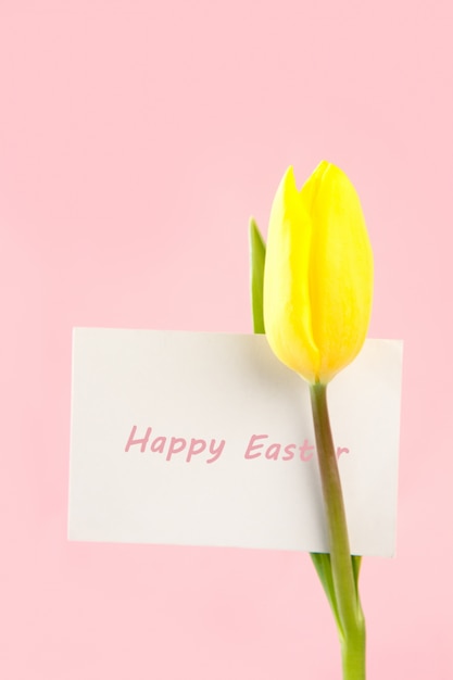 Tulipano giallo con una carta di pasqua felice bianca su un fondo rosa