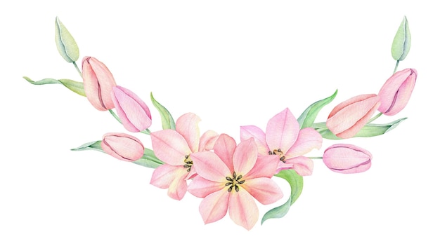 Tulipano rosa acquerello Fiori primaverili isolati su sfondo bianco Cornice ghirlanda bouquet floreale