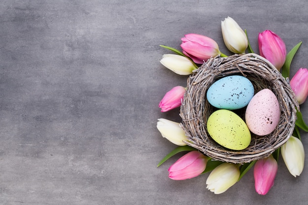 Tulipano rosa con uova rosa nidificano su uno sfondo grigio. Biglietto di auguri di Pasqua.