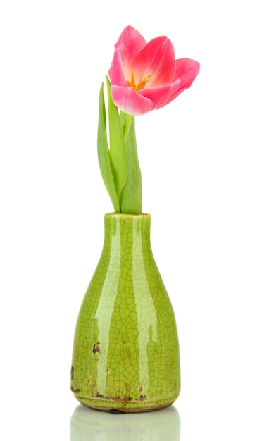 Tulipano rosa in vaso brillante isolato su bianco