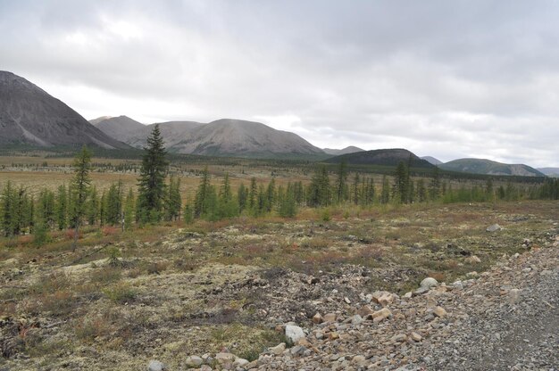 Tundra autunnale sullo sfondo delle montagne in Yakutia