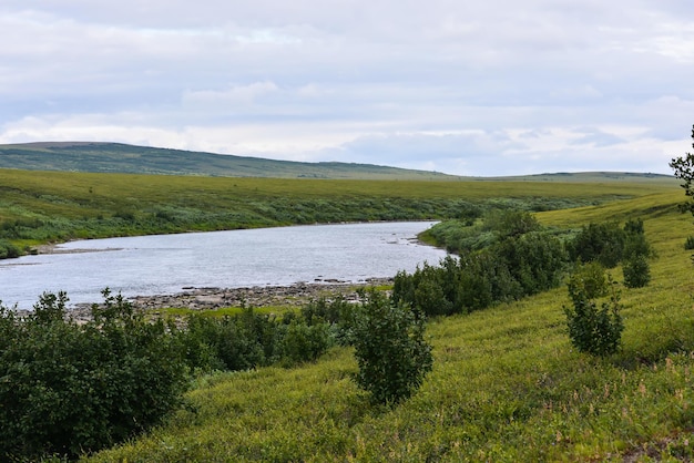 Tundra negli Urali polari