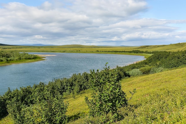 Tundra negli Urali polari