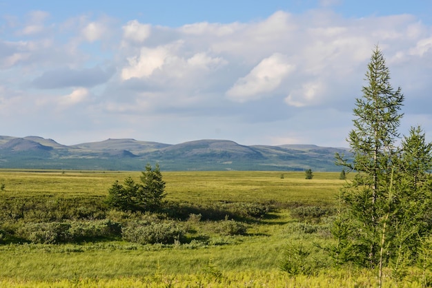 Tundra pedemontana