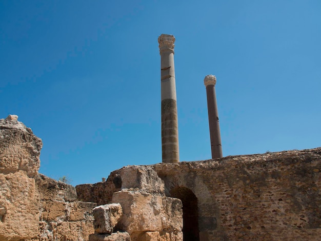 tunisi in tunisia