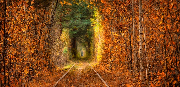 Tunnel d'autunno dell'amore Città di Klevan Ucraina