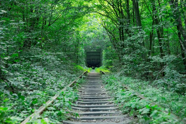 Tunnel dell'amore