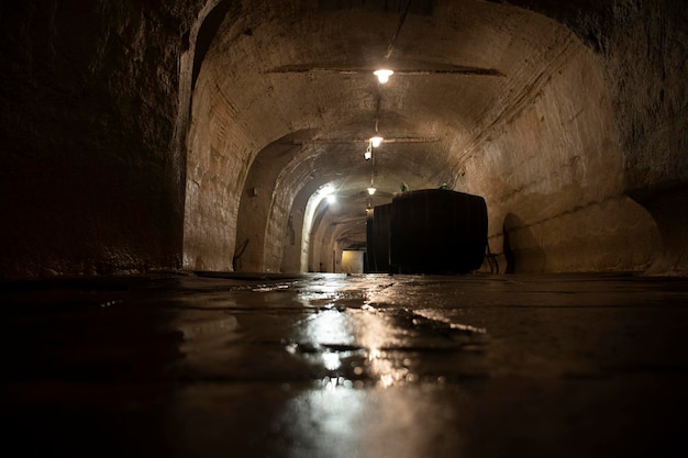 Tunnel di maturazione del vecchio birrificio con botti di legno ad angolo basso