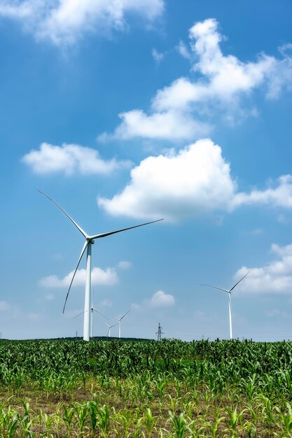 Turbina eolica a energia verde per terreni agricoli all'aperto di fotografia aerea