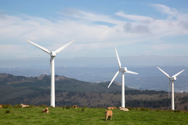 Turbina eolica a Vixia Herbeira, Ortigueira, Galizia, Spagna