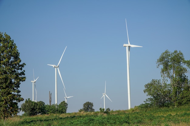 Turbina eolica bianca nel mezzo del prato