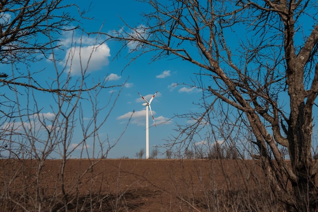 Turbina eolica in campo agricolo mulino a vento che genera energia verde Sfondo del cielo blu Vista attraverso i rami degli alberi