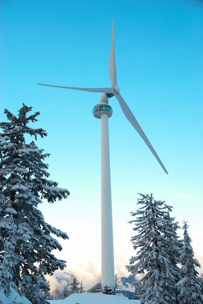 Turbina eolica in montagna ricoperta di foresta invernale