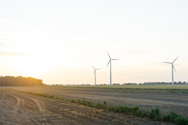 Turbine eoliche al tramonto con un bel cielo