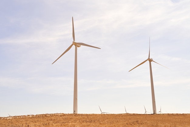 Turbine eoliche che producono elettricità sul campo. Concetto di energie rinnovabili. Cadiz, Spagna.