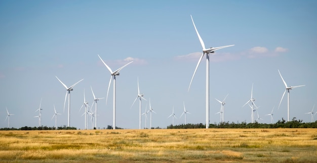 Turbine eoliche e campo agricolo in una giornata estiva. Produzione di energia, energia pulita e rinnovabile.