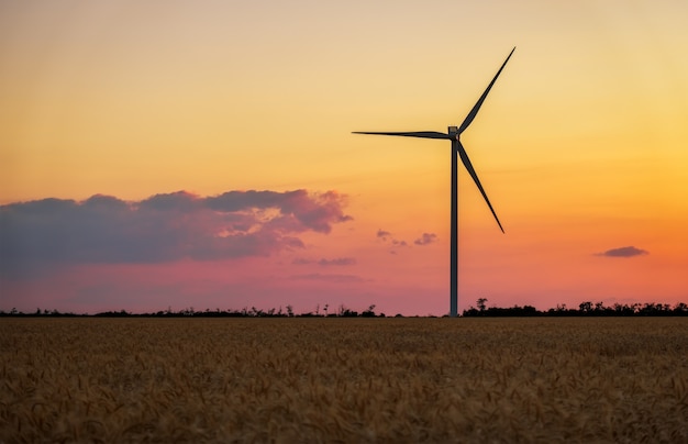 Turbine eoliche e campo agricolo in una giornata estiva. Produzione di energia, energia pulita e rinnovabile.