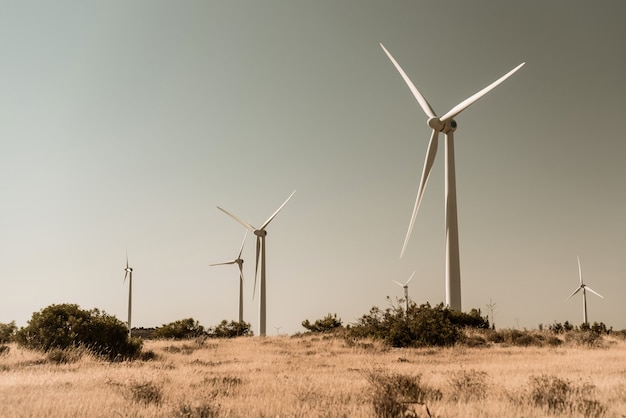 Turbine eoliche in ambiente rurale