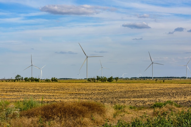 Turbine eoliche in campo agricolo. Energia pulita. Concetto ecologico