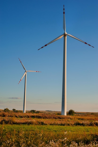 Turbine eoliche in campo con la luce della sera del cielo blu