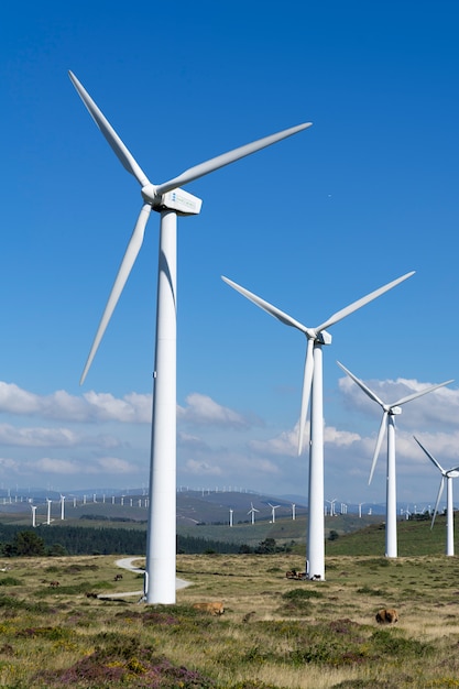 Turbine eoliche in un parco eolico in Galizia