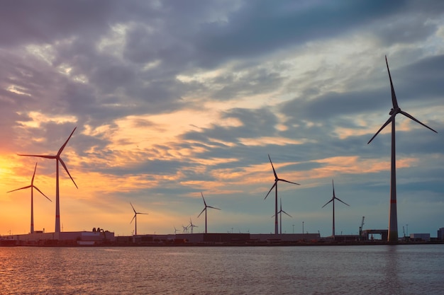 Turbine eoliche nel porto di Anversa al tramonto