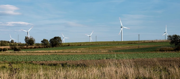 Turbine eoliche su verdi colline Gruppo di mulini a vento per la produzione di energia elettrica nel verde