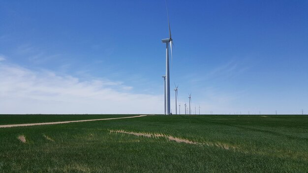 Turbine eoliche sul campo contro il cielo