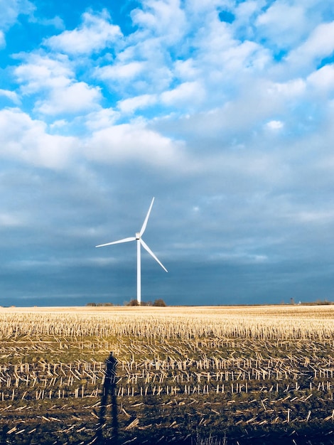 Turbine eoliche sul campo contro il cielo